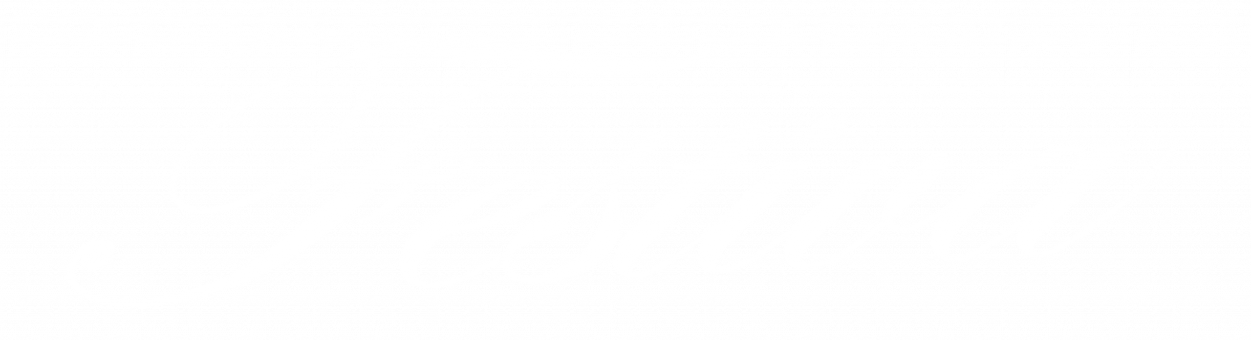 Festiva